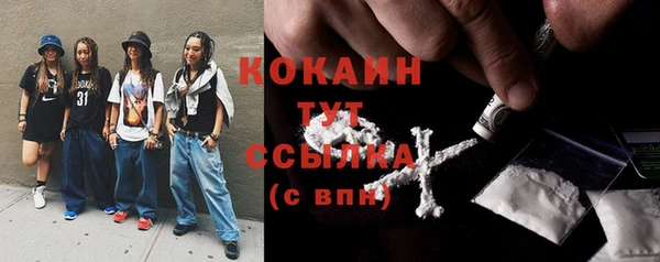 прущие грибы Магадан