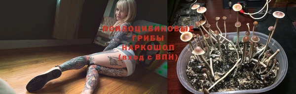 тгк Магас