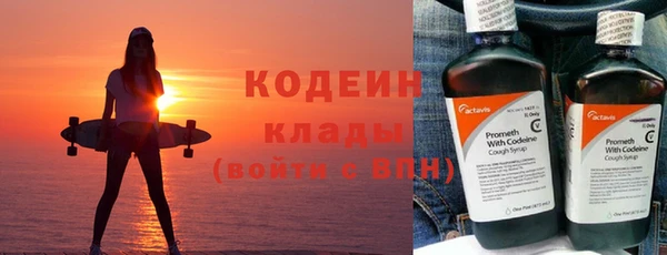 прущие грибы Магадан