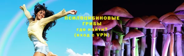тгк Магас