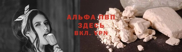 тгк Магас