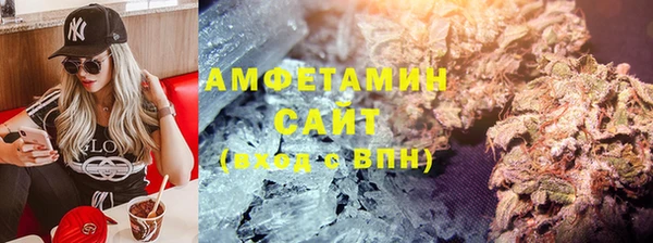 прущие грибы Магадан