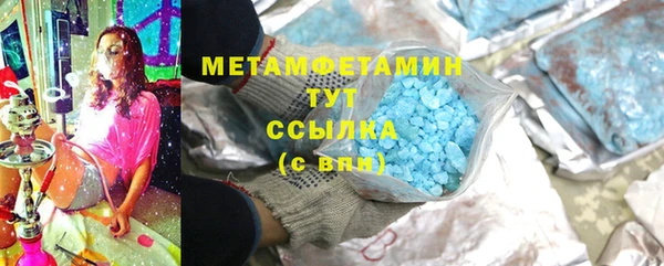 прущие грибы Магадан