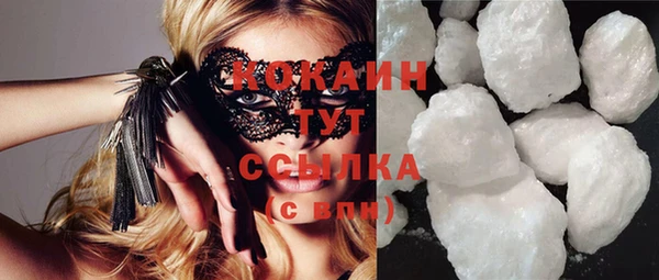 тгк Магас